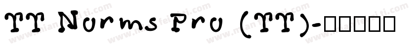 TT Norms Pro (TT)字体转换